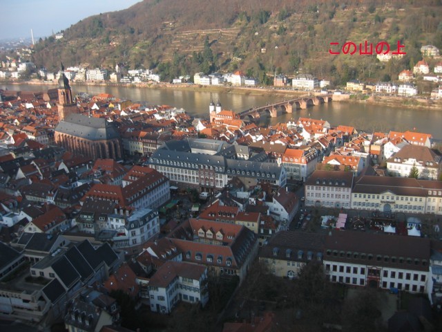 071216_65_Schloss-Heidelberg(ハイデルブルク城)_blog.jpg